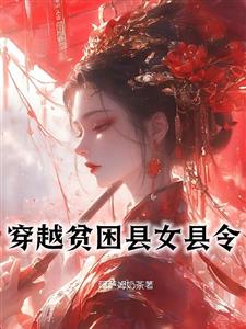 穿越贫困县女县令