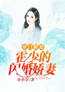 豪门限爱：霍少的闪婚娇妻