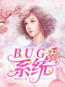 BUG系统