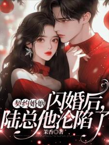 契约婚姻：闪婚后，陆总他沦陷了